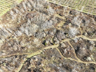 Beach Acreage Sale Pending in Covert, Michigan