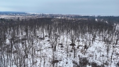 Beach Acreage Sale Pending in Au Gres, Michigan