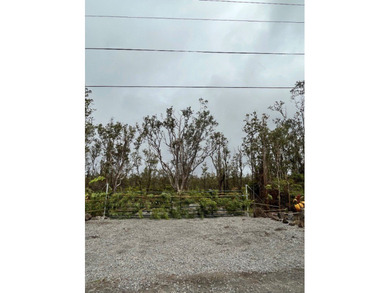 Beach Acreage For Sale in Volcano, Hawaii