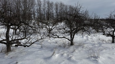 Beach Acreage For Sale in Manistee, Michigan