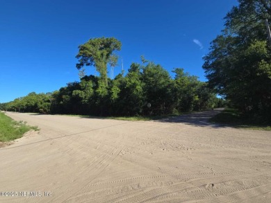 Beach Lot For Sale in Bunnell, Florida