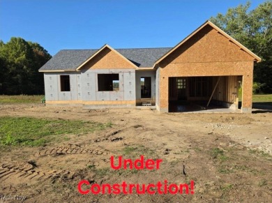 Beach Home For Sale in Geneva, Ohio