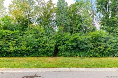 Beach Lot For Sale in Grosse Ile, Michigan