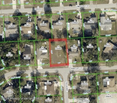 Beach Lot For Sale in Spring Hill, Florida