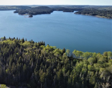 Beach Lot Off Market in Machiasport, Maine