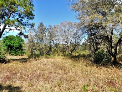 Beach Lot For Sale in North Port, Florida