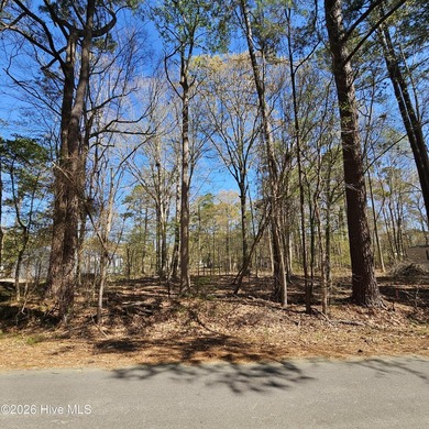 Beach Lot For Sale in Hertford, North Carolina