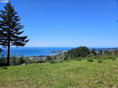 Beach Lot For Sale in Brookings, Oregon