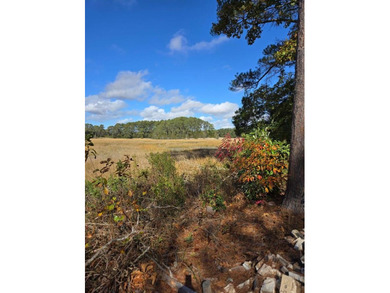 Beach Lot For Sale in Parksley, Virginia