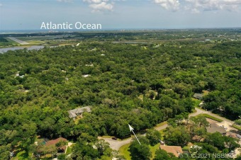 Beach Lot Off Market in New Smyrna Beach, Florida