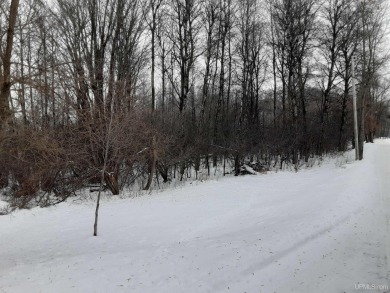 Beach Acreage For Sale in Ironwood, Michigan