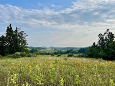 Beach Acreage For Sale in Ellsworth, Michigan