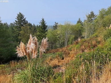 Beach Lot Off Market in Brookings, Oregon