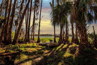 Beach Acreage For Sale in Wimauma, Florida