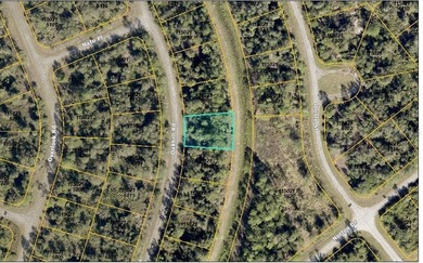 Beach Lot For Sale in North Port, Florida