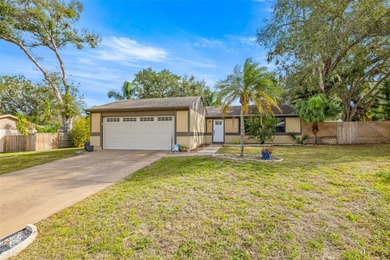 Beach Home For Sale in Palm Harbor, Florida