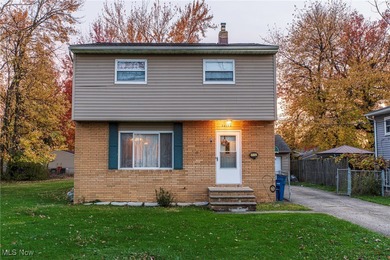 Beach Home For Sale in Eastlake, Ohio