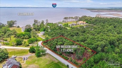 Beach Lot For Sale in Milton, Florida