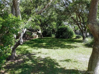 Beach Lot Off Market in New Smyrna Beach, Florida