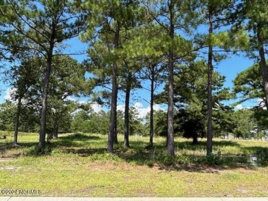 Beach Lot Sale Pending in Sunset Beach, North Carolina