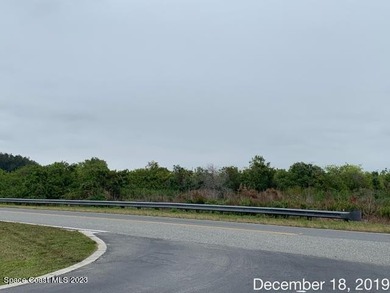 Beach Acreage For Sale in Merritt Island, Florida