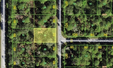 Beach Lot For Sale in Port Charlotte, Florida