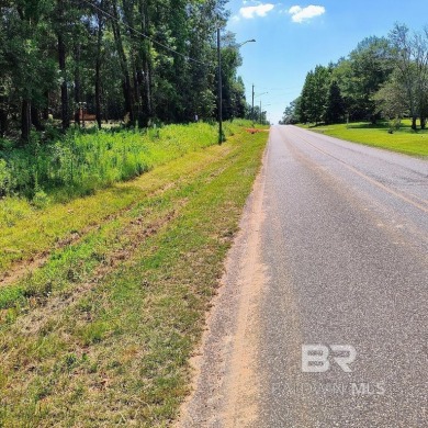 Beach Acreage For Sale in Silverhill, Alabama