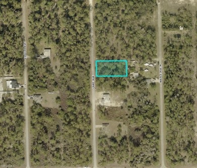 Beach Lot For Sale in Lehigh Acres, Florida