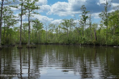 Beach Lot For Sale in Hertford, North Carolina