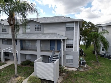 Beach Condo For Sale in Tampa, Florida