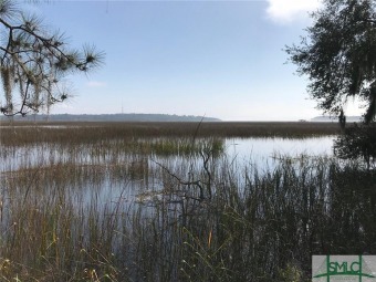 Beach Acreage Off Market in Savannah, Georgia