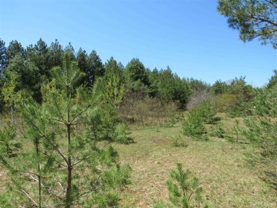 Beach Acreage For Sale in Mohawk, Michigan