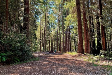 Beach Lot For Sale in Jenner, California