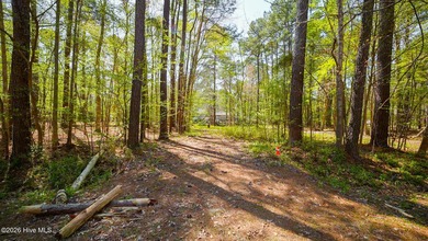 Beach Lot For Sale in Hertford, North Carolina