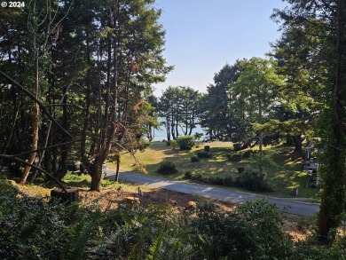 Beach Lot For Sale in Brookings, Oregon