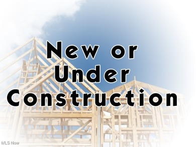 Beach Home For Sale in Geneva, Ohio