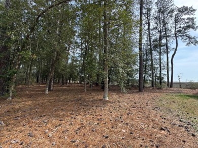 Beach Acreage For Sale in Accomac, Virginia
