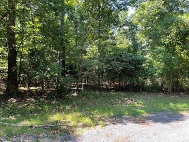Beach Lot For Sale in Greenbackville, Virginia