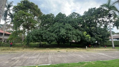 Lot For Sale in Panama City image photo picture