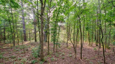 Beach Acreage Sale Pending in West Olive, Michigan