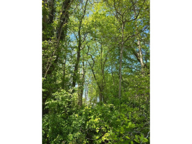 Beach Acreage For Sale in Bloxom, Virginia