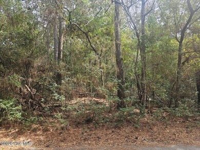 Beach Lot For Sale in Bald Head Island, North Carolina