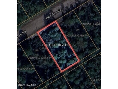 Beach Lot For Sale in Southport, North Carolina