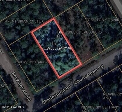 Beach Lot For Sale in Southport, North Carolina