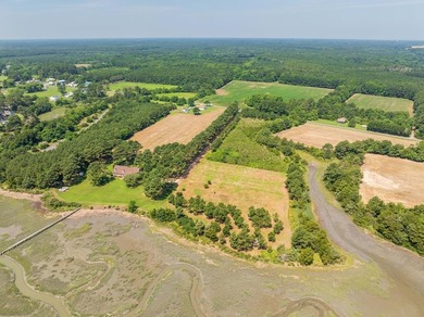 Beach Acreage For Sale in Wachapreague, Virginia