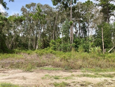 Beach Commercial For Sale in Lehigh Acres, Florida