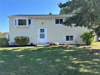 Beach Home For Sale in Eastlake, Ohio