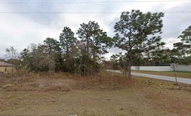 Beach Lot For Sale in Spring Hill, Florida