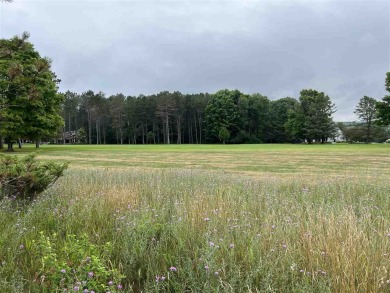 Beach Lot Off Market in Harbor Springs, Michigan