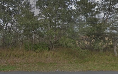 Beach Lot For Sale in Weeki Wachee, Florida